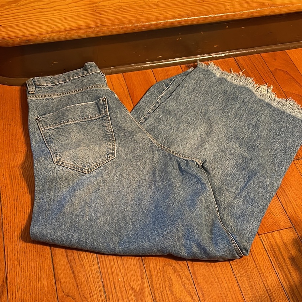 NWT Free People Wide Leg Pleated denim 29